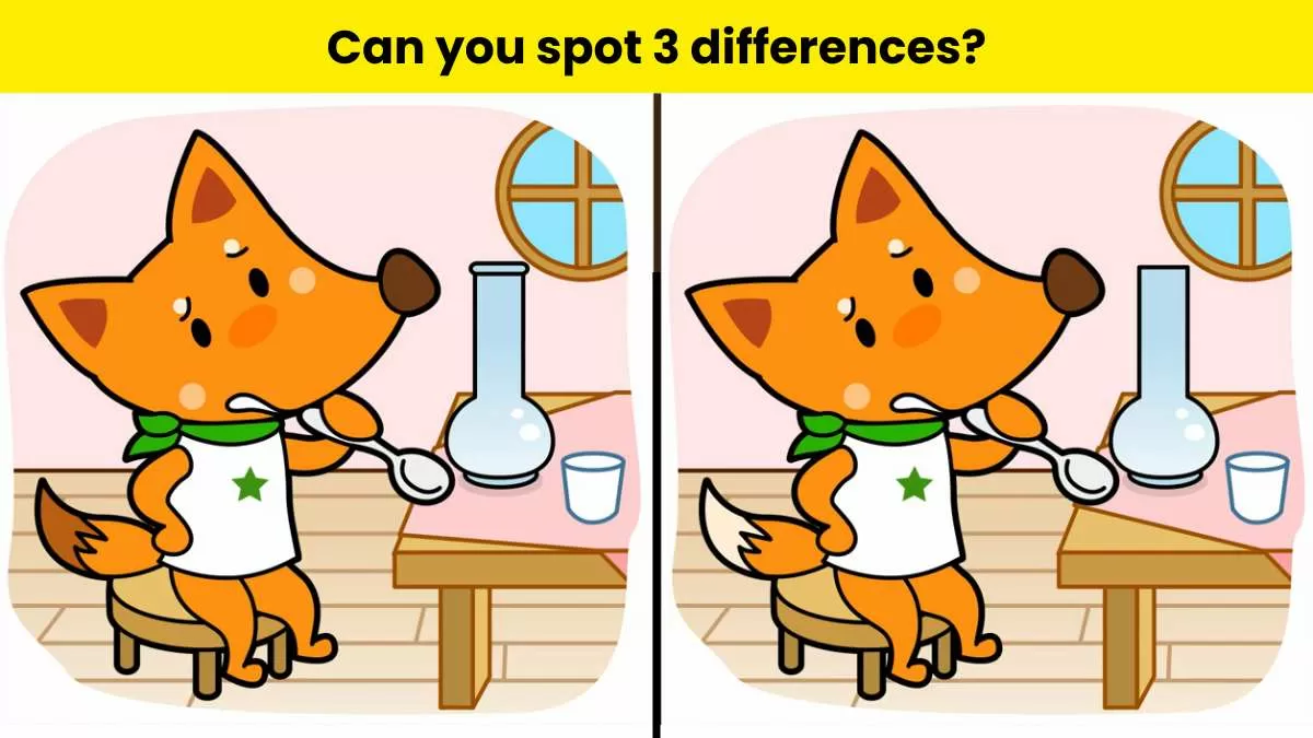 Can you spot 3 differences between the two fox pictures?                                