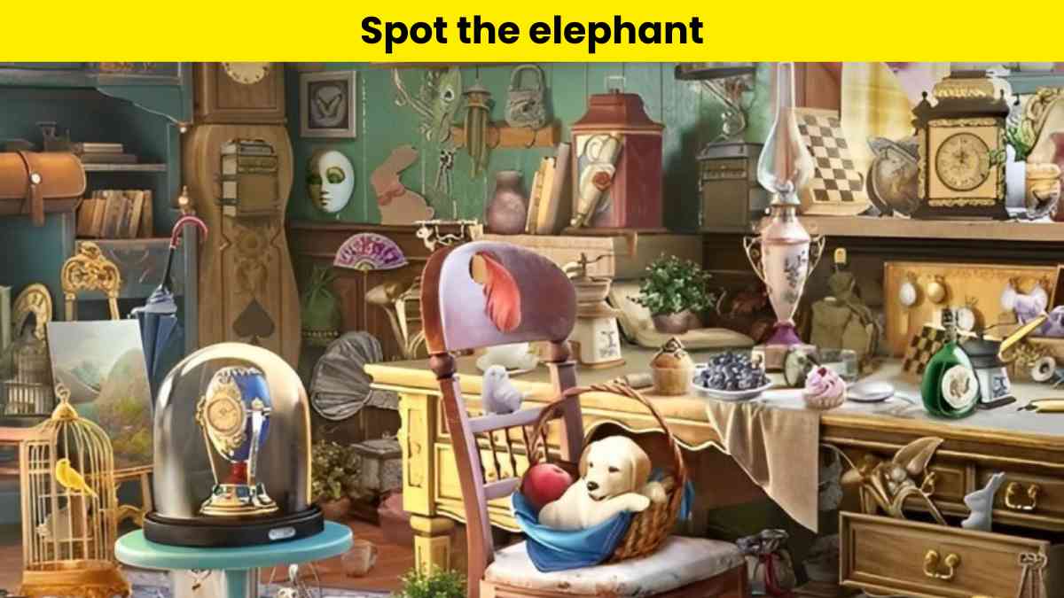Test your vision and spot the elephant hidden among antiques in 5 seconds.