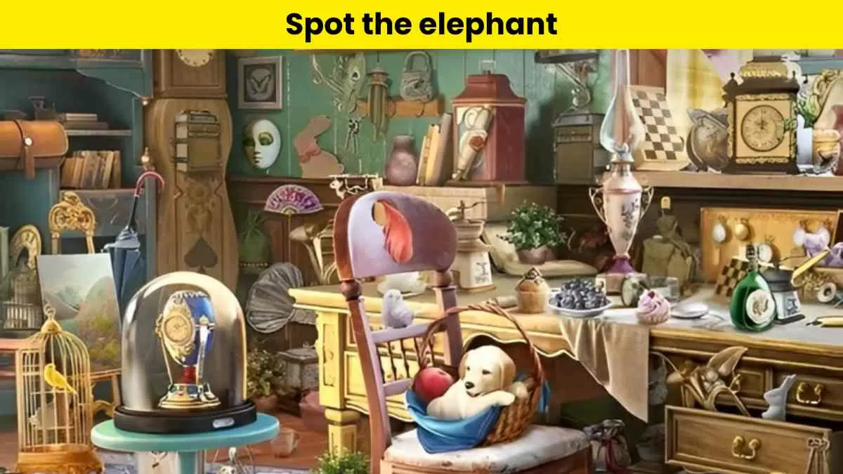 Can you spot the elephant in this optical puzzle?                       