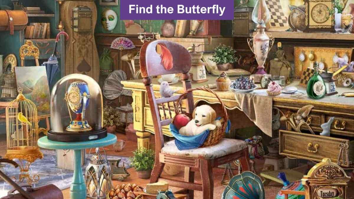 People with falcon like eyes can find the butterfly in the picture in 6 seconds!