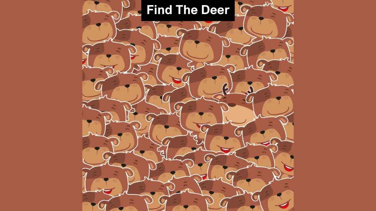 You have the sharpest eyes if you can spot a deer in 4 seconds!