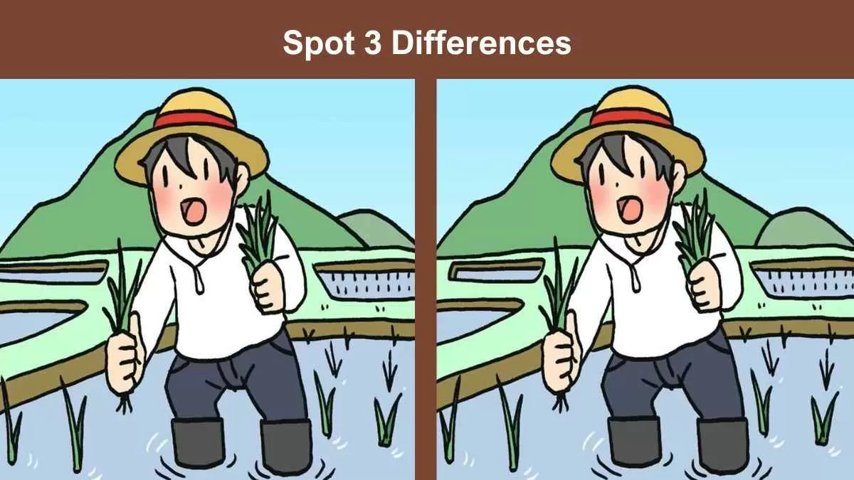 Spot 3 differences farmer in field