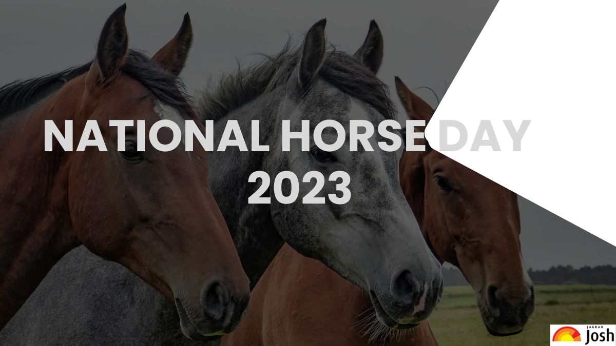 National Horse Day 2023 Date, Theme, History, Significance