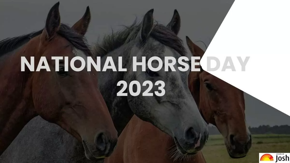 National Horse Day 2023