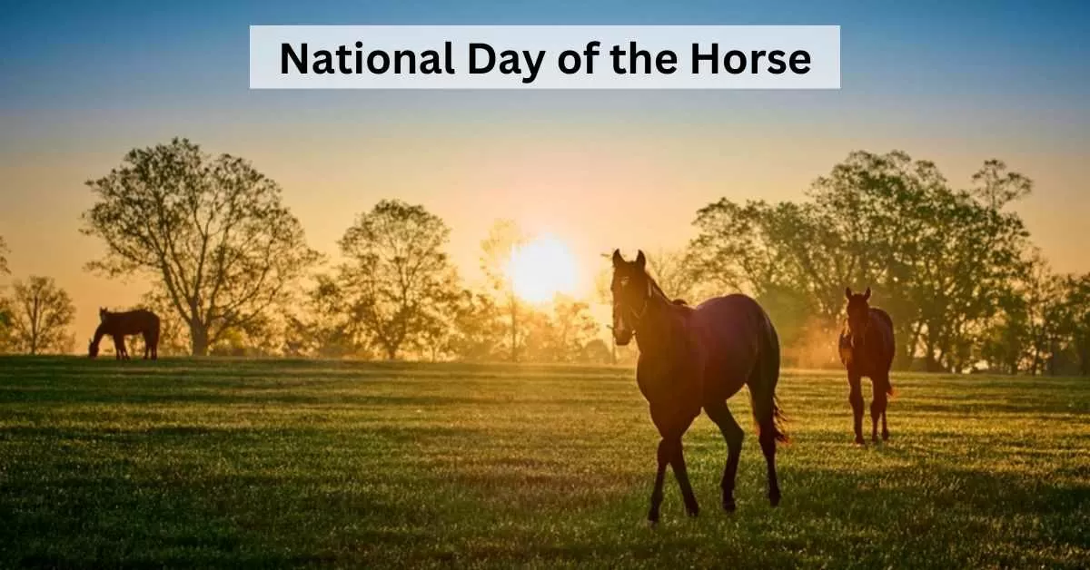 National Horse Day 2023 Types of Racing Horse You Need to Know