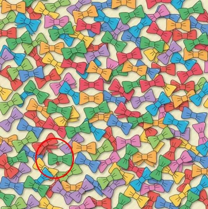 Illusion Pictures With Hidden Images With Answers Only People With Keen Eyesight Can Spot The Hidden Gift In 11 Seconds!