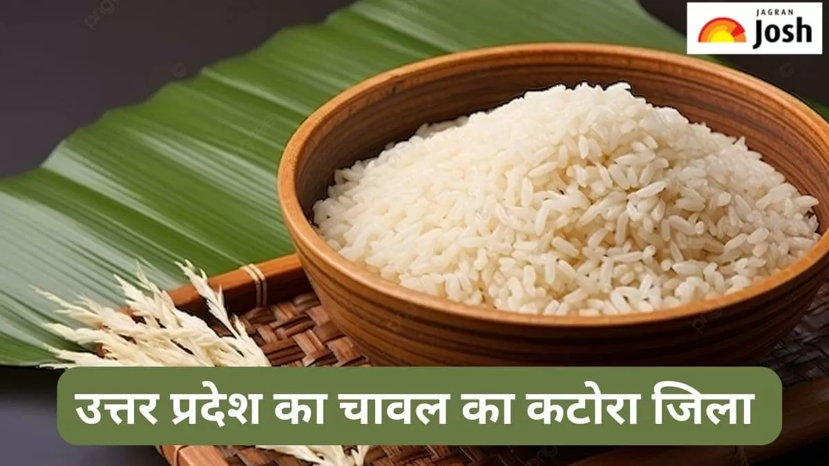 यूपी का चावल का कटोरा जिला