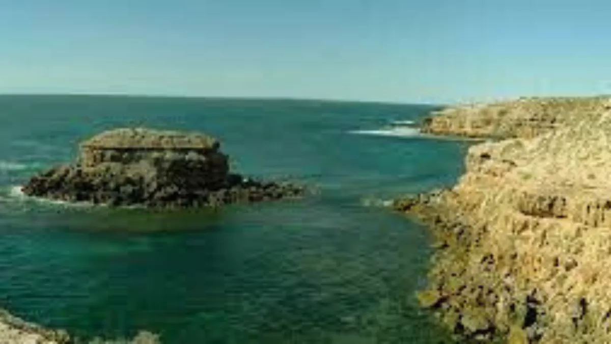 This is world's very first system to monitor seafood basket in Australia. Here's everything you need to know