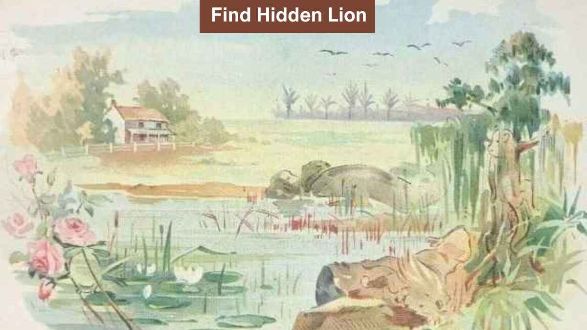 You have HD eyes if you can spot a hidden lion in the village in 9 seconds!