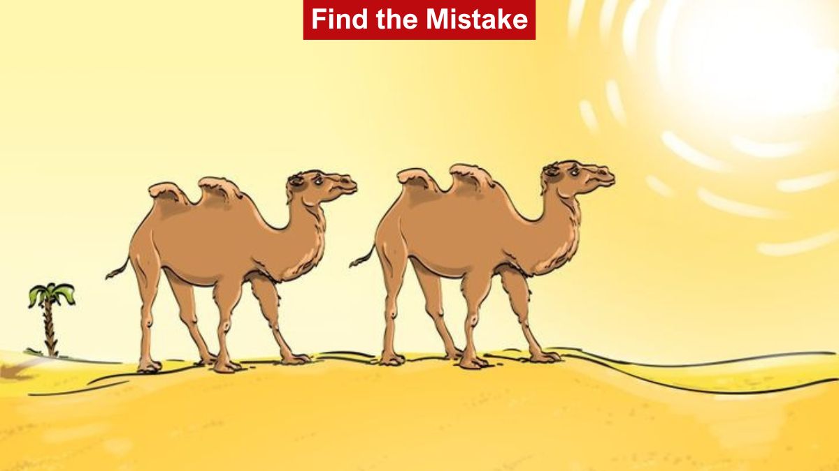 Genius IQ Test: Can you spot the mistake in the desert picture in 7 seconds?