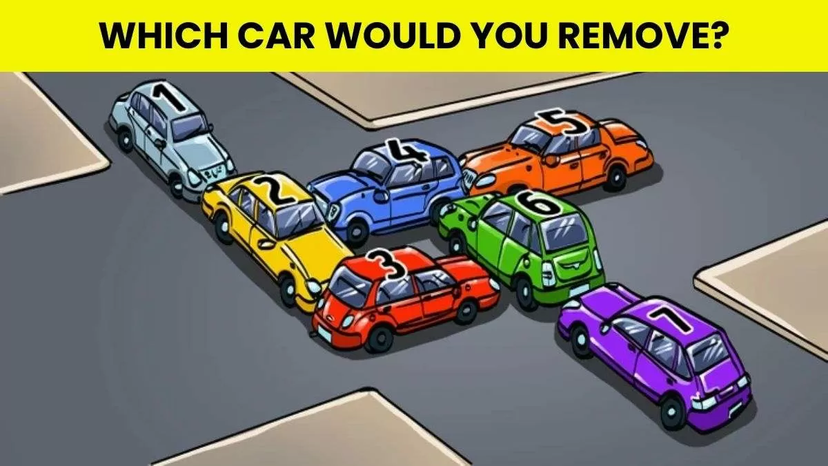 Puzzle To Test Your IQ