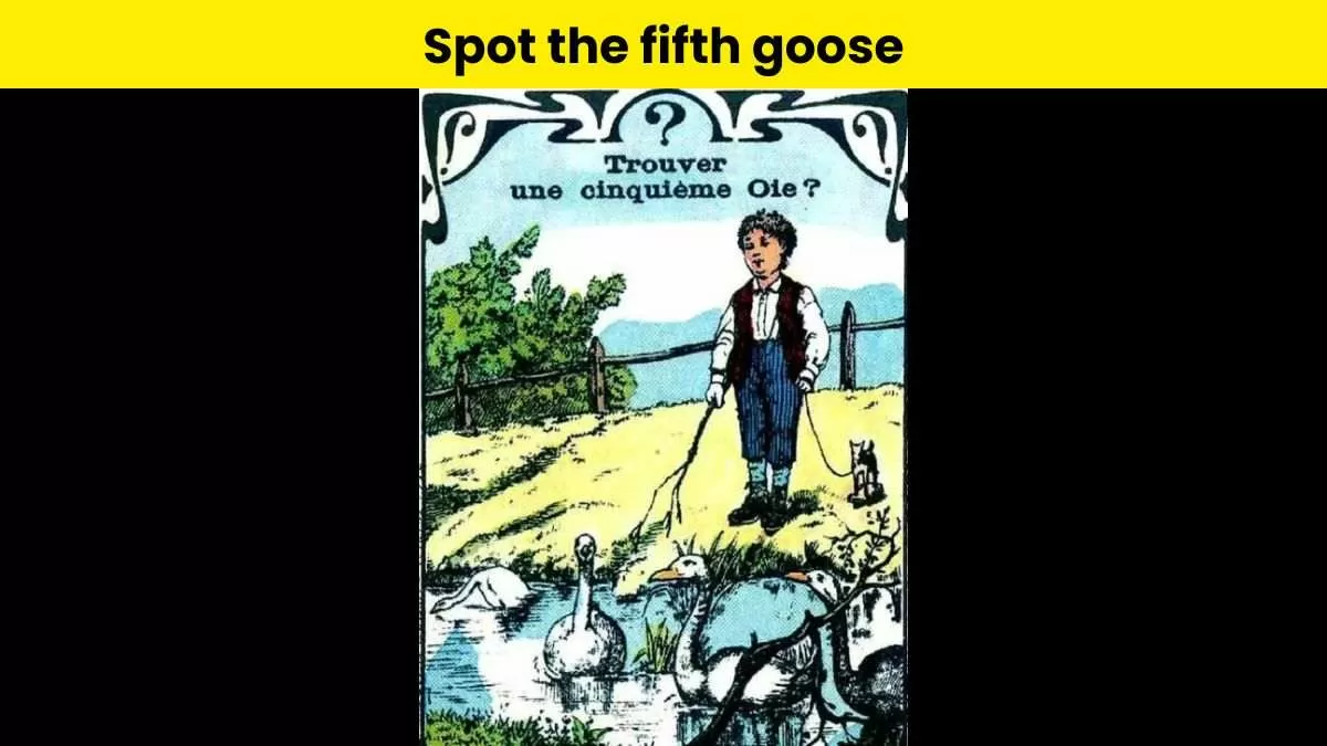 Can you spot the hidden goose in this brain teaser puzzle?
