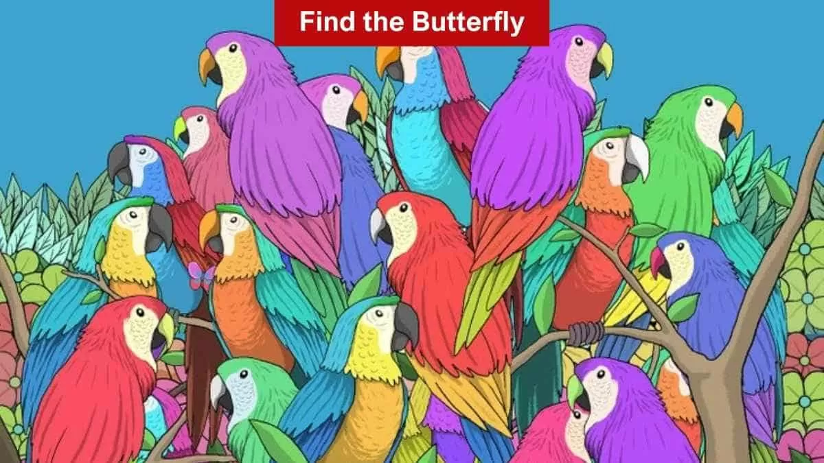 Find butterfly among parrots