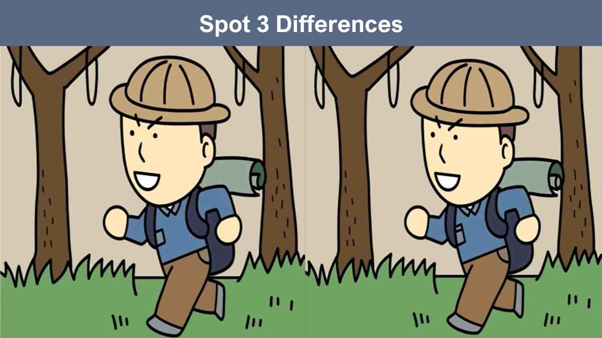 Spot 3 differences between the guy in the forest pictures in 11 seconds!