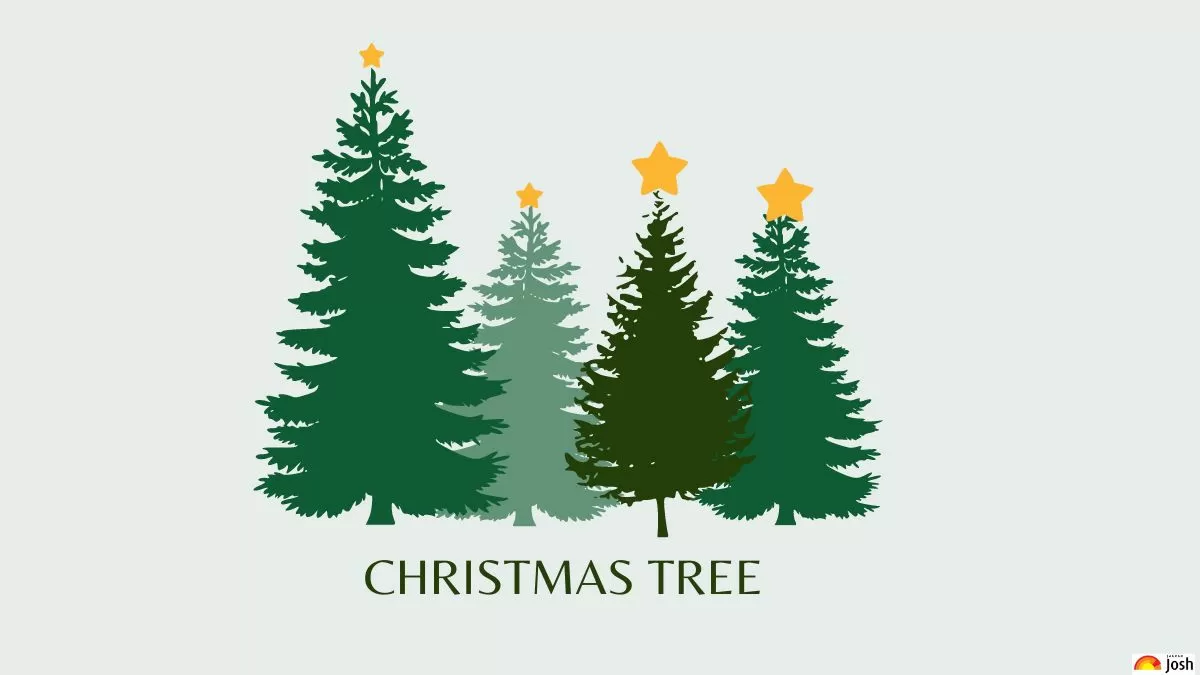 All About History & Significance Of Christmas Tree