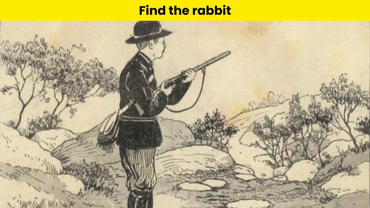 Only the sharpest eyes can find the rabbit hiding from the hunter in the 1830s image within 4 seconds.