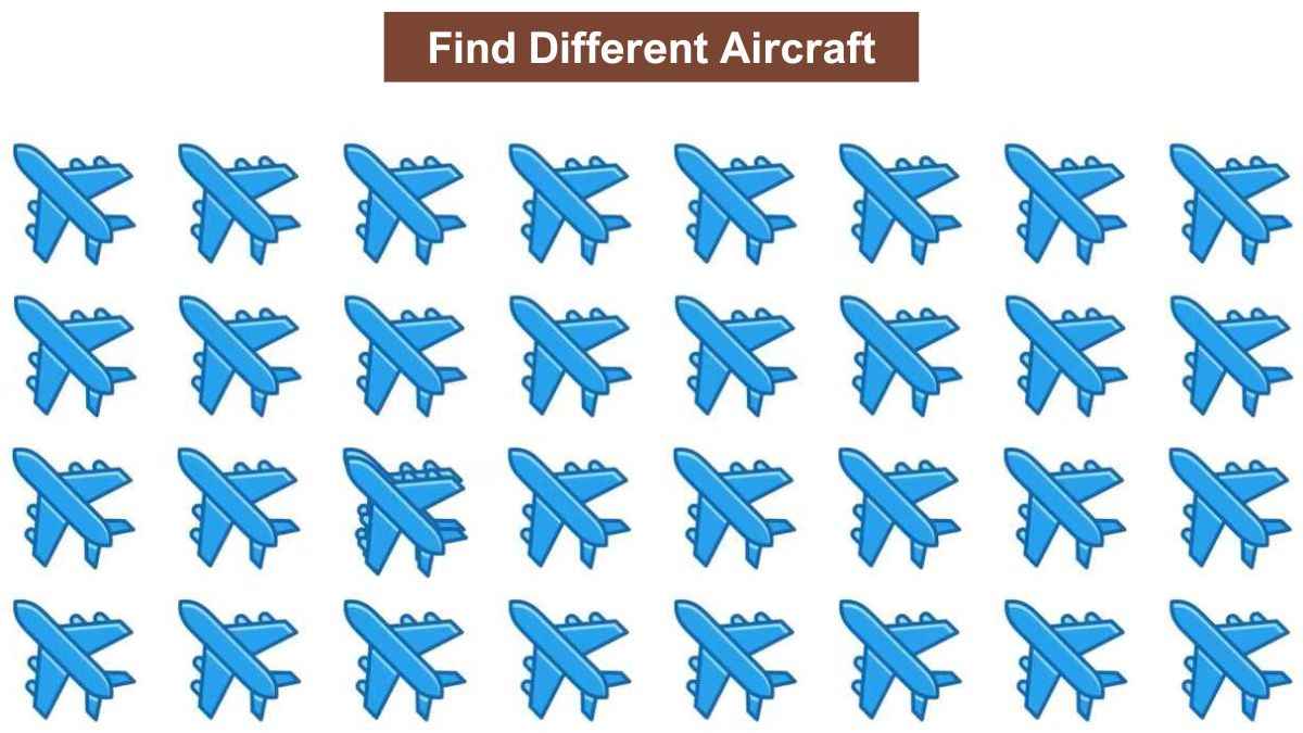 only-the-sharpest-eyes-can-spot-the-different-aircraft-in-the-picture