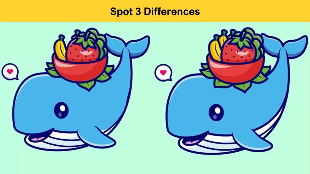 Spot 3 differences blue whale pictures