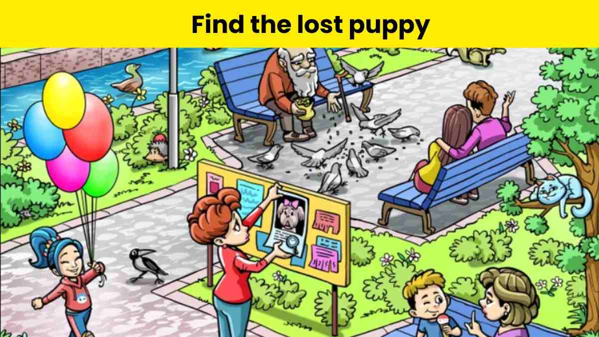 You need to have extra-sharp eyes to find the lost puppy at the park in 7 seconds. 