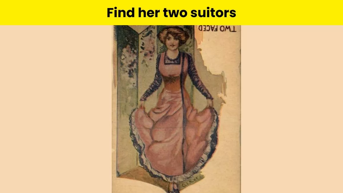 Can you find the lady's two suitors in this brain teaser puzzle?                     