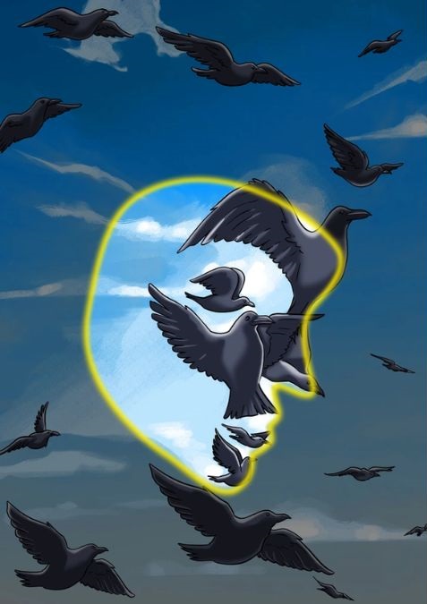 hidden optical illusions with answers