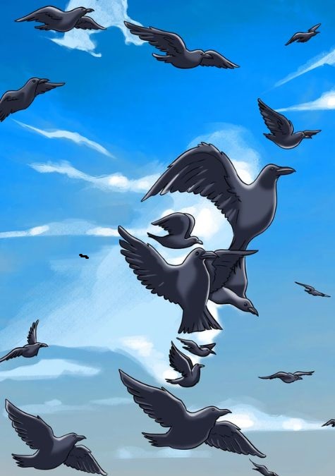 hidden faces optical illusions