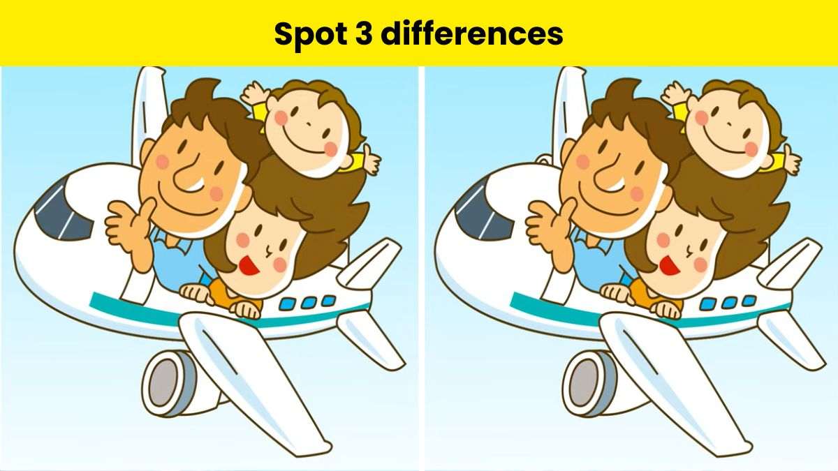 Only great observers can spot 3 differences between the family in plane pictures in 9 seconds. 