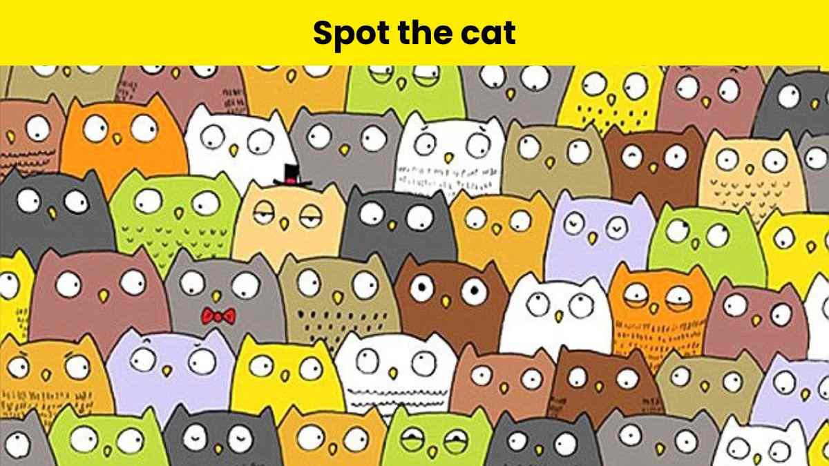 Only eagle eyes can spot the cat among owls in 7 seconds.