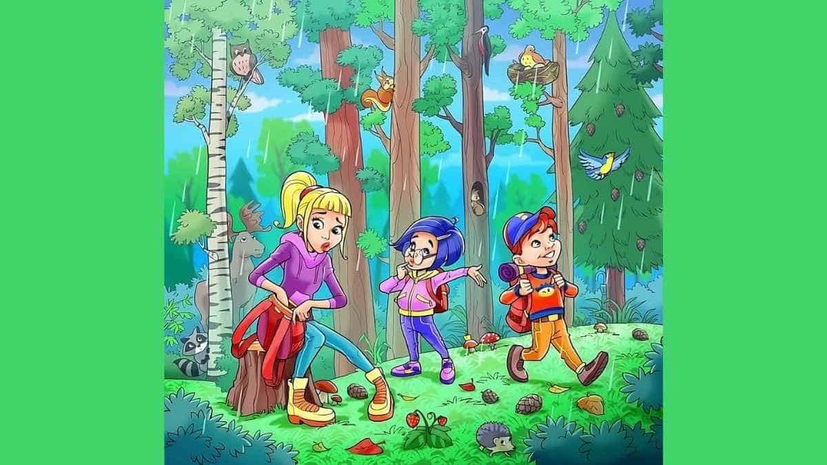 Optical Illusion Eye Test: Find hidden umbrella in the forest in 7 seconds!