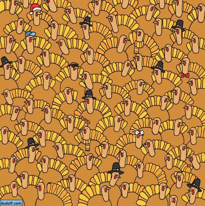 hidden picture puzzles iq test