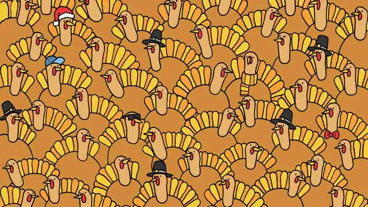 Can you find the hidden pumpkin?