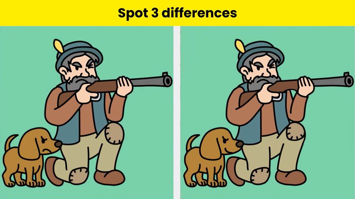Only the cleverest minds can spot 3 differences between the hunter and puppy pictures in 9 seconds.
