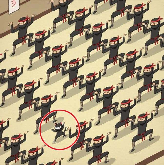 picture puzzles with answers