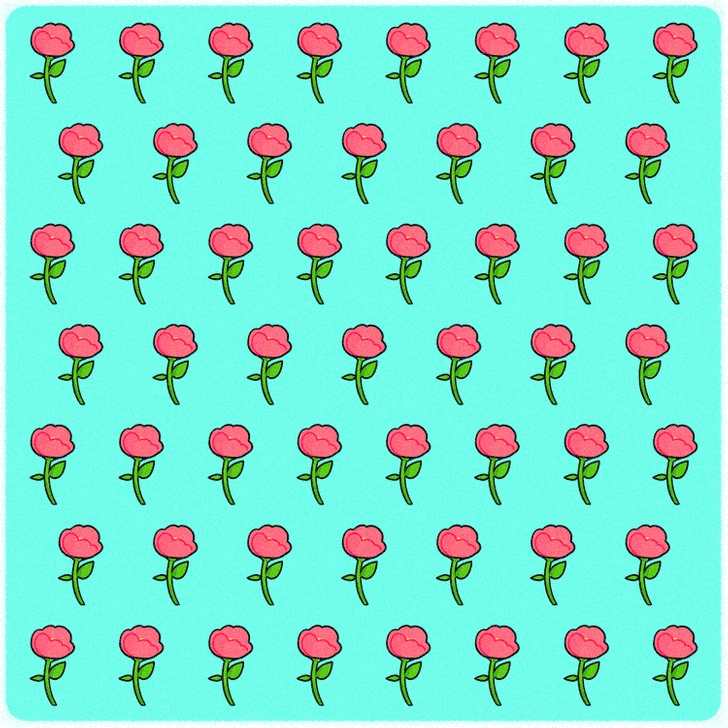 find the odd rose in the picture