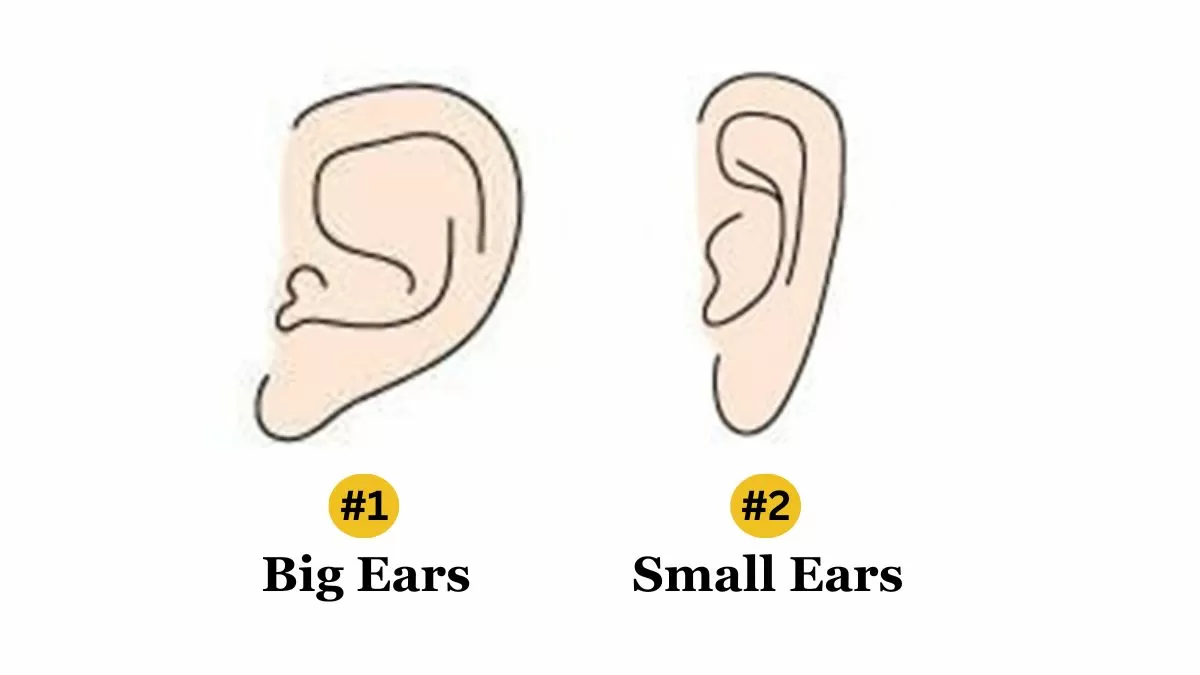 Personality Test: Your Ears Reveal Your Hidden Personality Traits