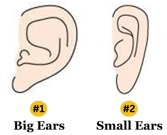ears personality traits