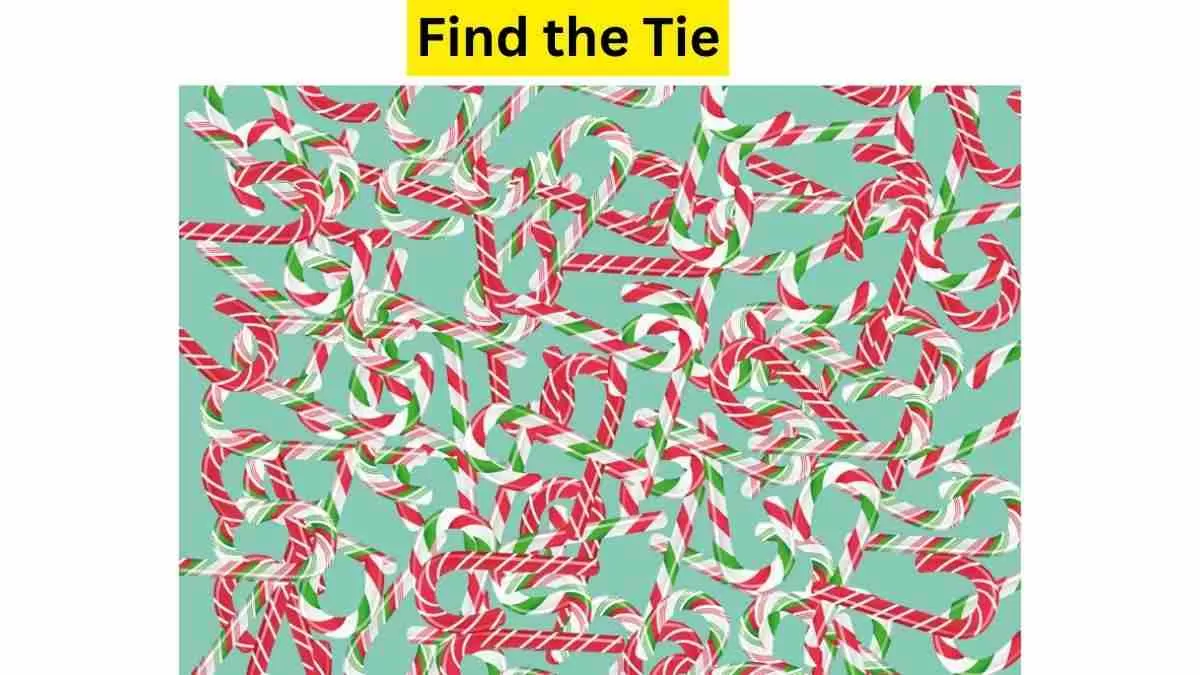 What you see other than Candy Cane?