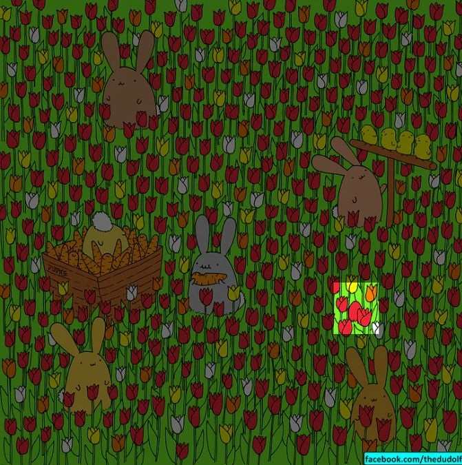 picture puzzles with answers