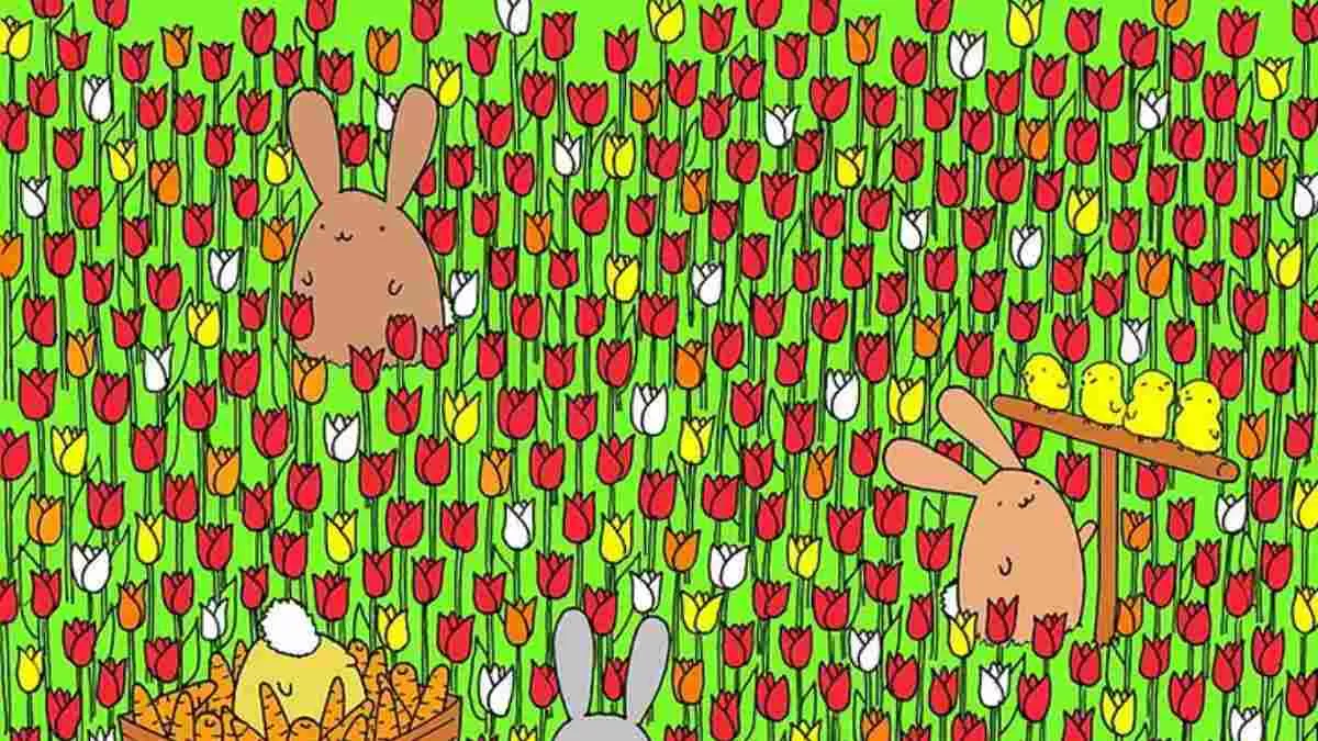 Picture Puzzle IQ Test: Spot The Hidden Easter Egg.