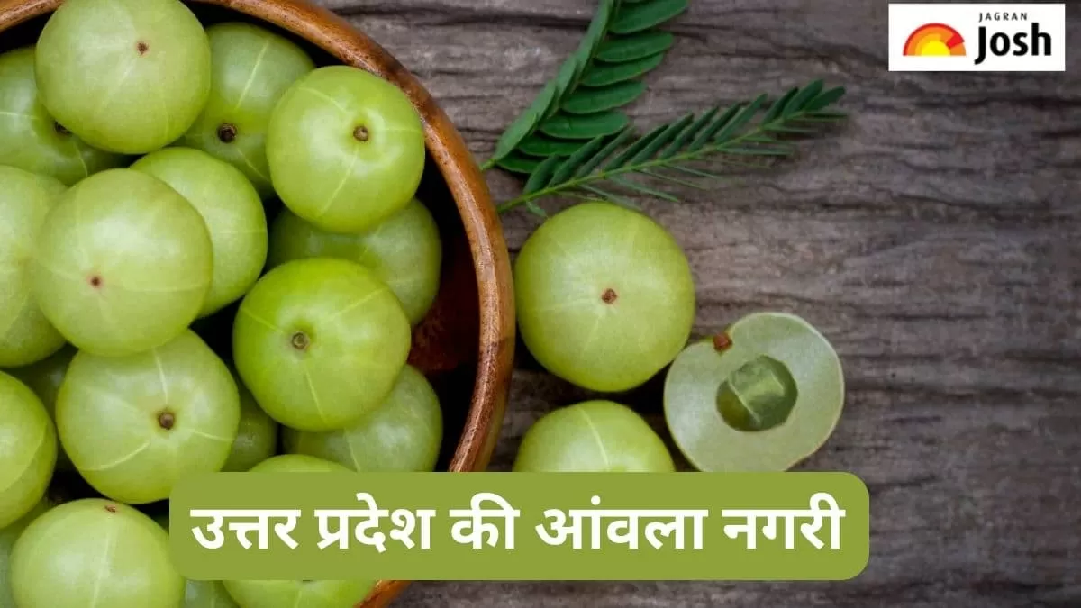 उत्तर प्रदेश की आंवला नगरी