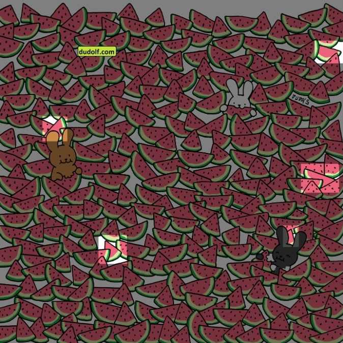 picture puzzles with answers