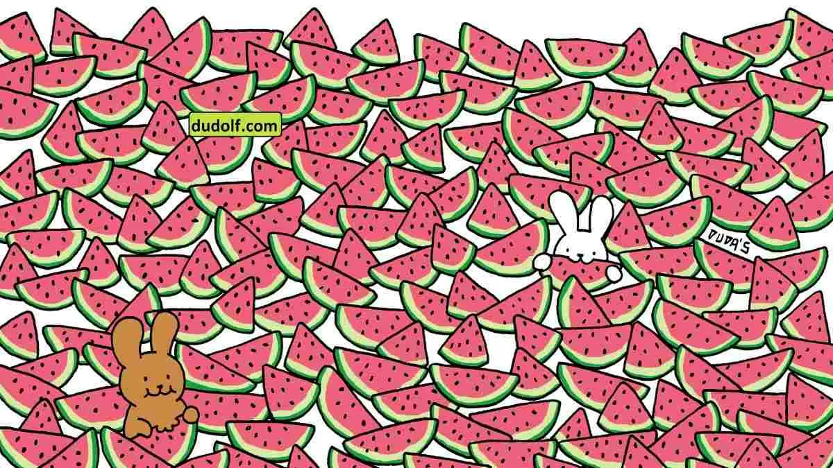 Can you find five seedless watermelons?
