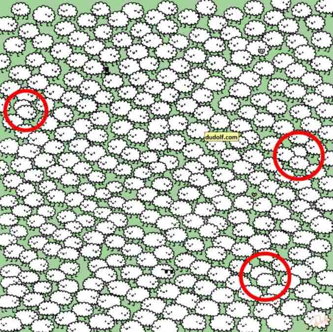 optical illusions with answers