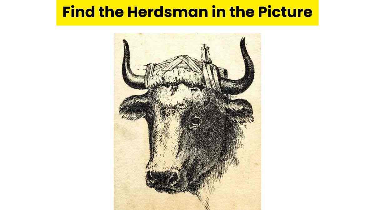 Optical Illusion Challenge: This or That? Can You Find The Herdsman In