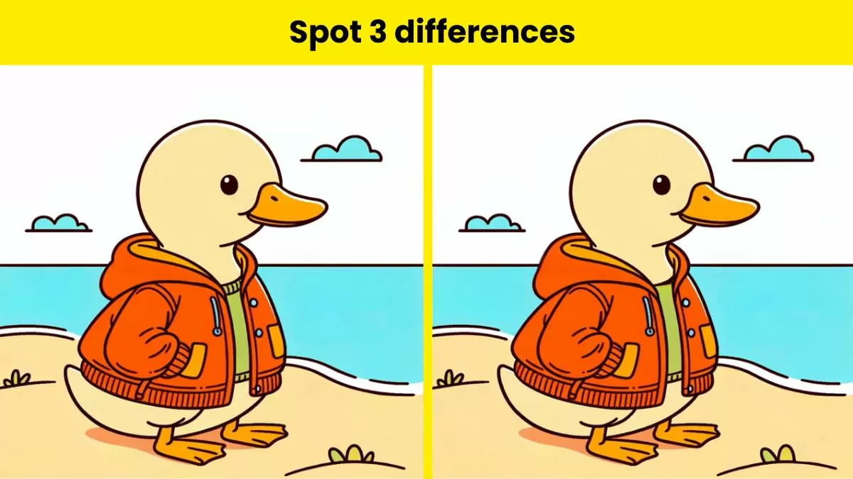 Only geniuses can spot 3 differences between the two duck wearing ...