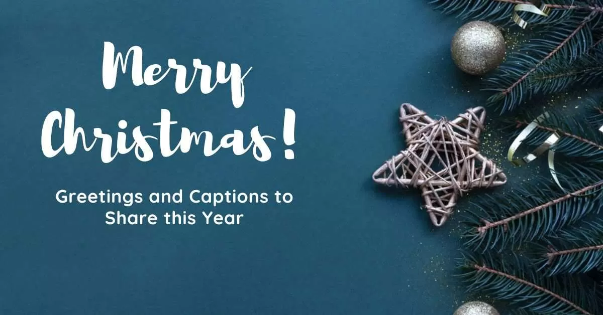 Christmas 2023 Merry Christmas Greetings Card Captions GIFs Short 