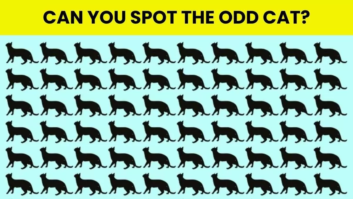 Brain Teaser For IQ Test