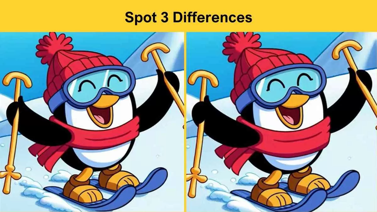 Spot 3 differences penguin