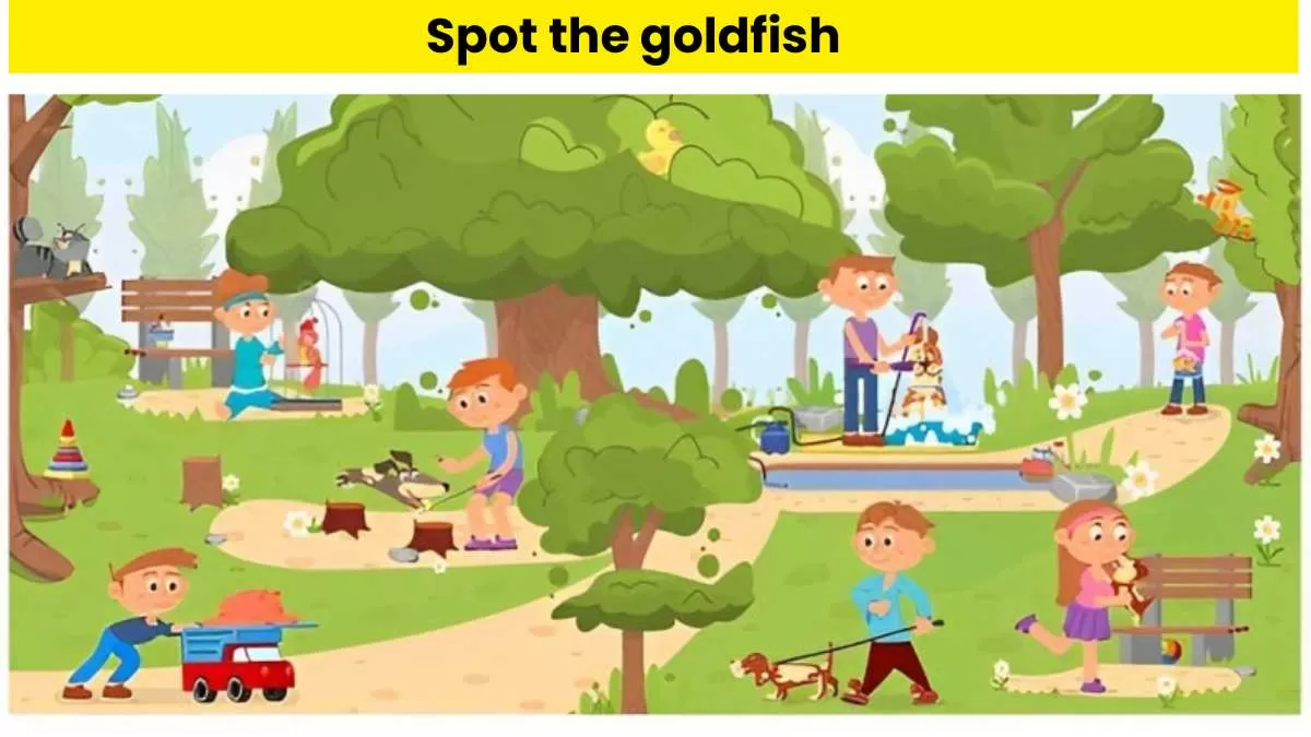Spot the goldfish in 7 seconds