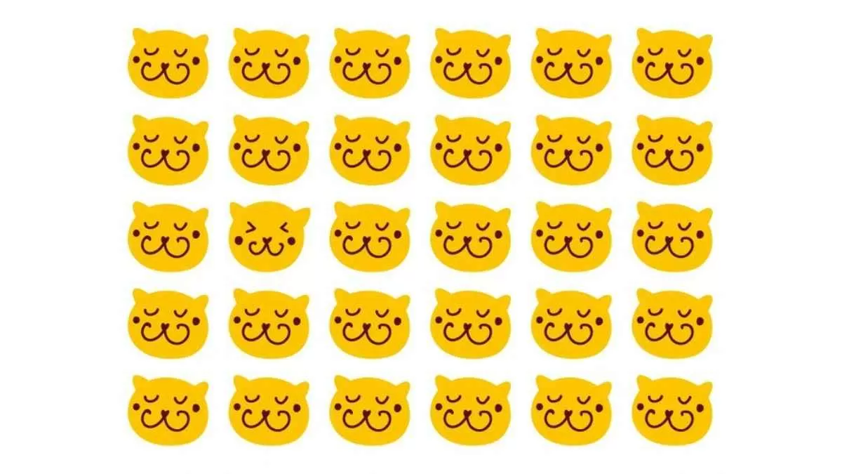 Find the different cat